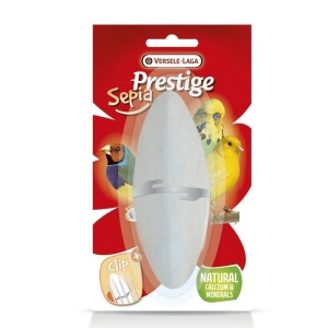 Osso di seppia blisterati con gancio 12 cm